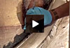 Visualizza il video
