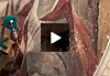Visualizza il video